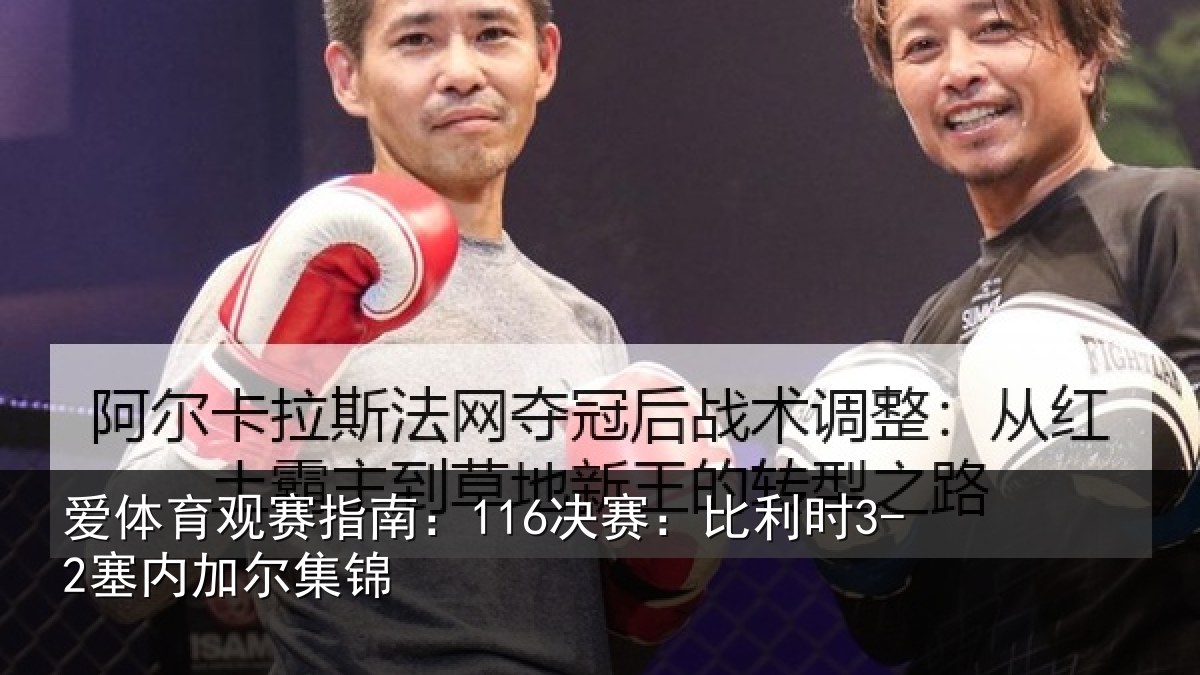 爱体育观赛指南：116决赛：比利时3-2塞内加尔集锦