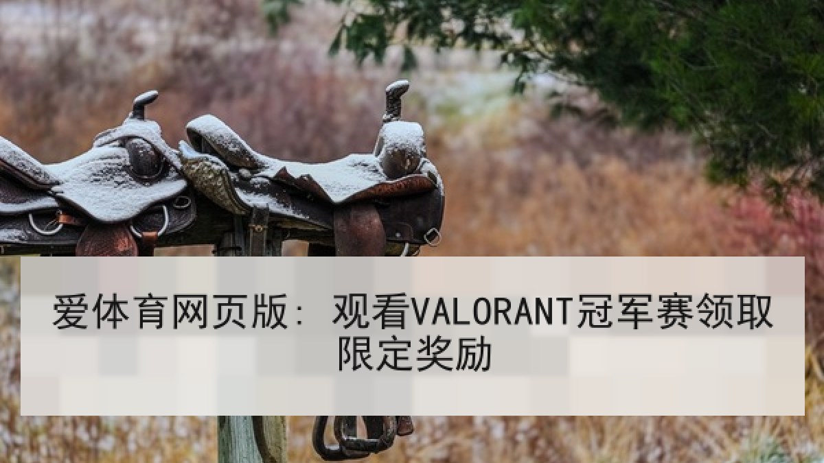 爱体育网页版: 观看VALORANT冠军赛领取限定奖励 爱体育网页版: 观看VALORANT冠军赛领取限定奖励